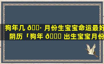 狗年几 🕷 月份生宝宝命运最好 阴历「狗年 🍁 出生宝宝月份命格是什么」